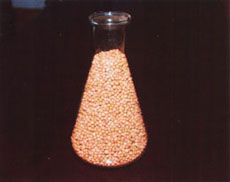 JH���մ��ս�����