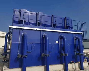 ����СĮ����